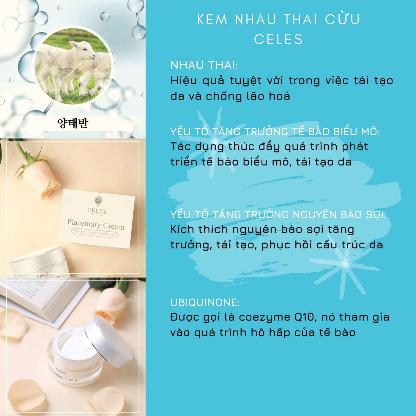 product/kem-celes-1.png